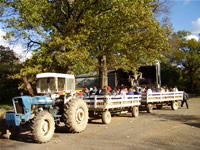 Hayride at Snipes Farm